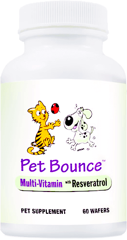 PET BOUNCE- Pet Supplement