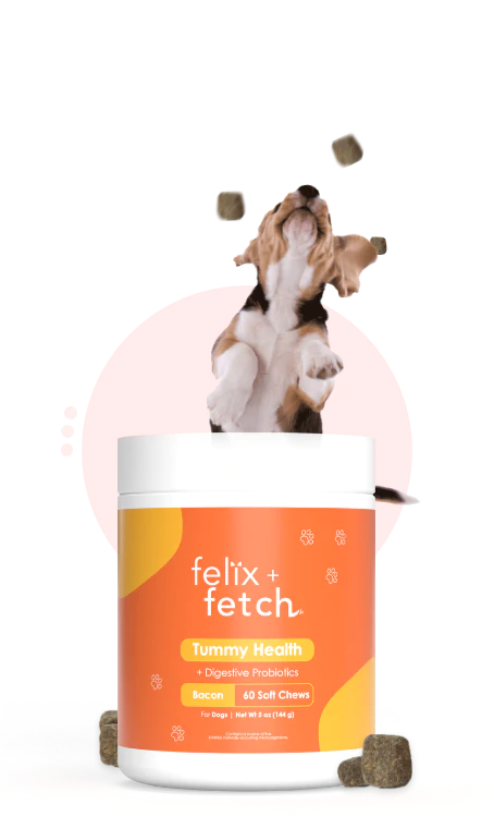Felix + Fetch Tummy Health – Gut Health Support for Dogs