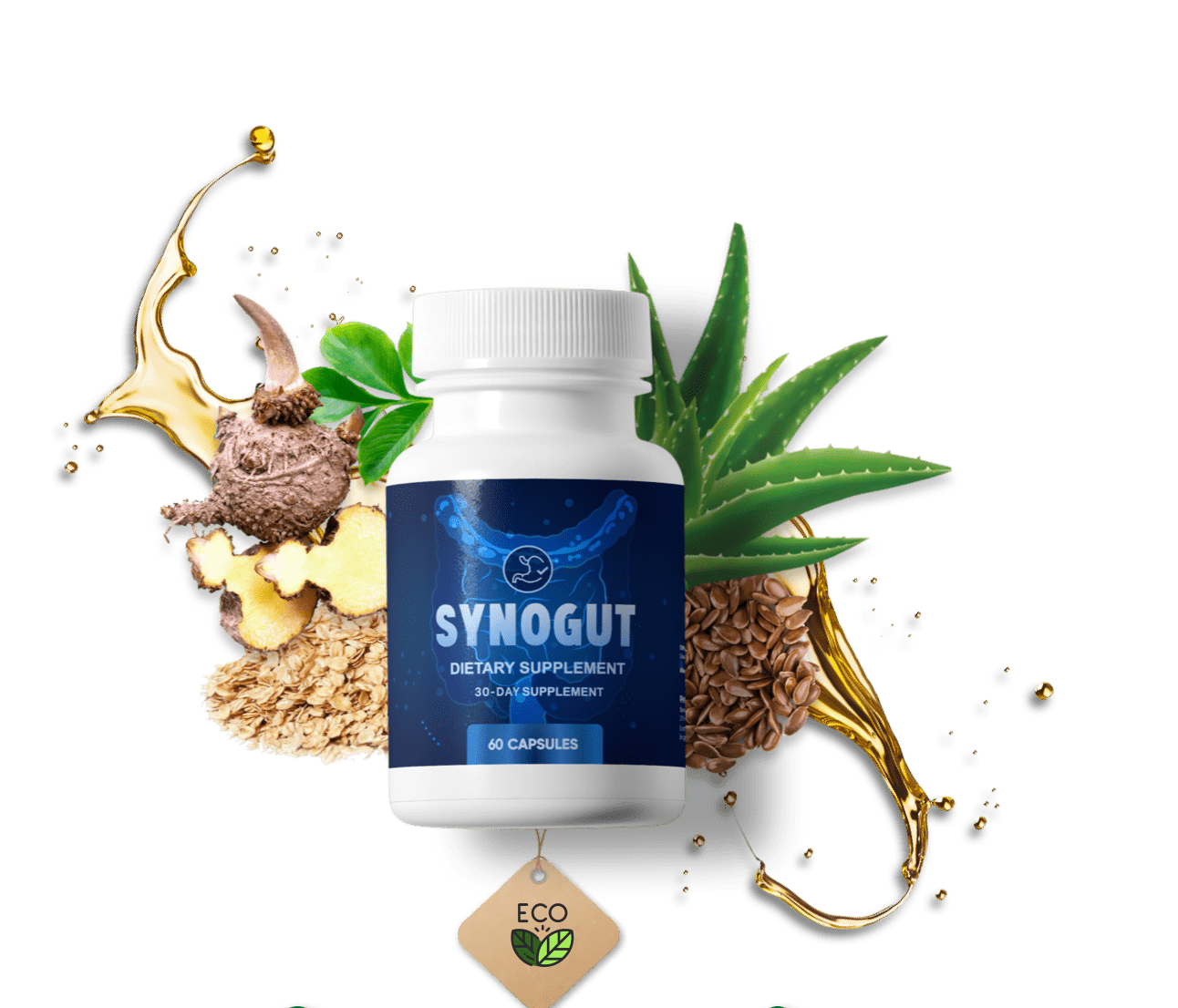 Synogut – To  Improve Your Digestive Health