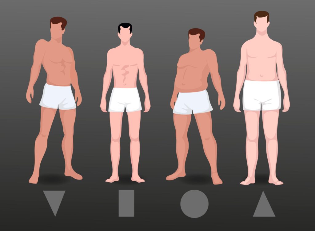 Male body build type according to shape: