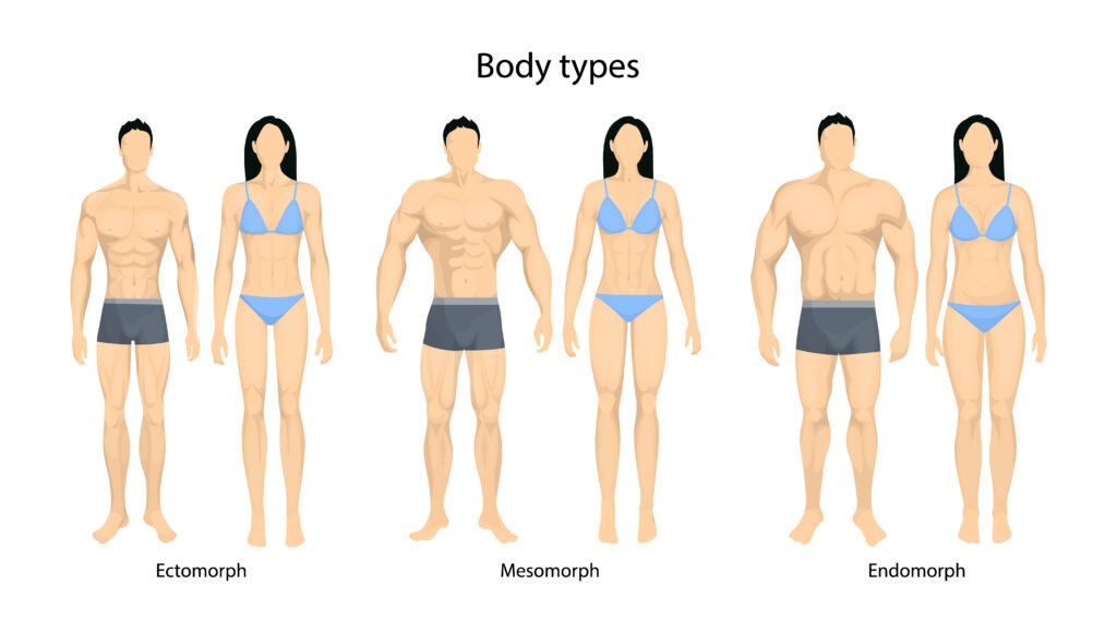 Male body build types